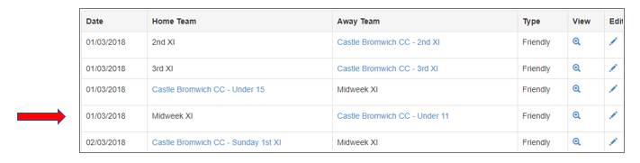 junior pairs cricket score sheet